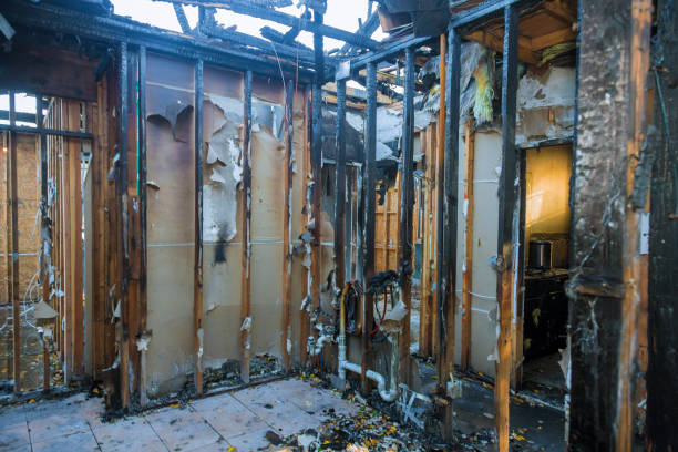 Professional Fire Damage Removal technician working in Weston, MO